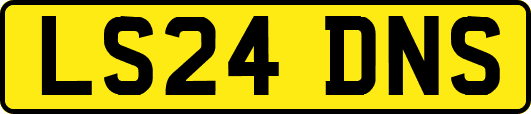 LS24DNS