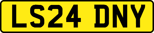 LS24DNY