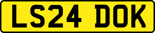 LS24DOK