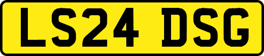 LS24DSG
