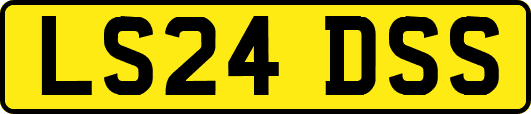 LS24DSS