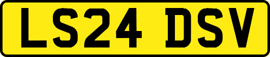 LS24DSV