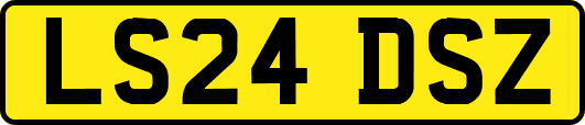 LS24DSZ