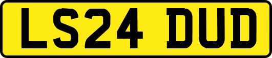 LS24DUD