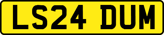 LS24DUM