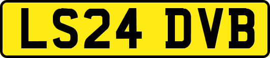 LS24DVB