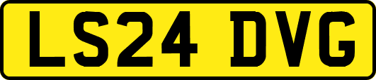 LS24DVG