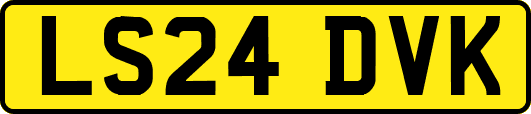 LS24DVK