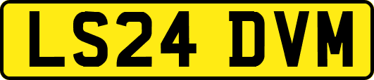LS24DVM