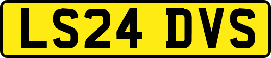 LS24DVS