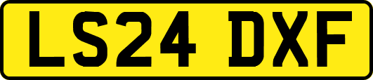 LS24DXF
