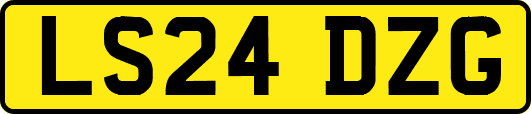 LS24DZG