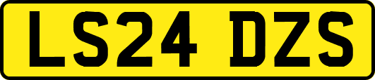 LS24DZS