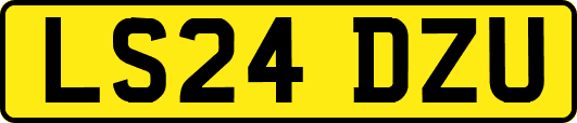 LS24DZU
