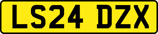 LS24DZX