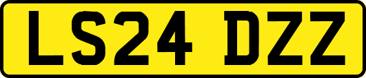 LS24DZZ