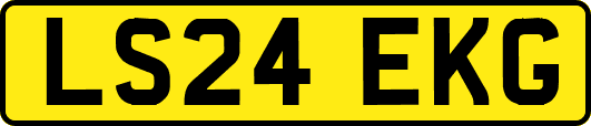 LS24EKG