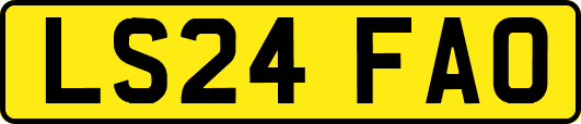 LS24FAO