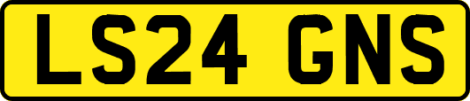 LS24GNS