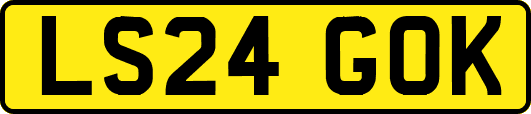 LS24GOK