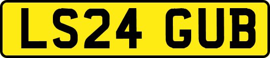 LS24GUB