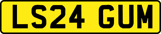 LS24GUM