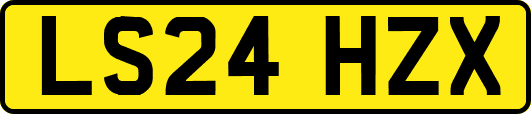 LS24HZX