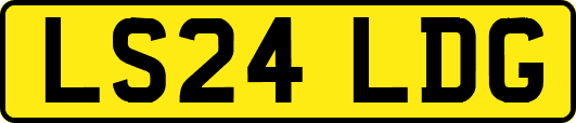 LS24LDG
