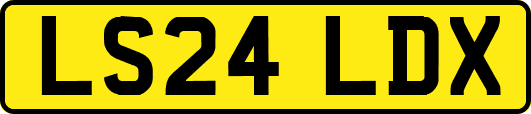 LS24LDX