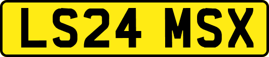 LS24MSX