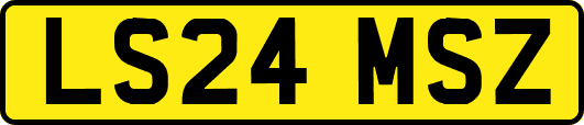 LS24MSZ