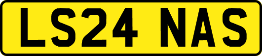 LS24NAS