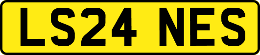 LS24NES