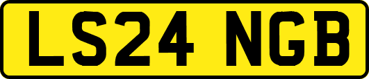 LS24NGB