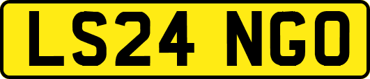 LS24NGO
