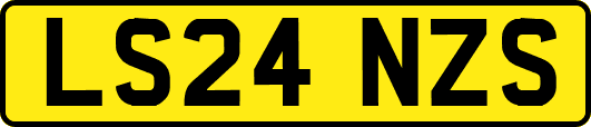 LS24NZS