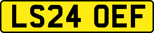 LS24OEF