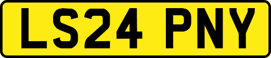 LS24PNY