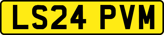 LS24PVM