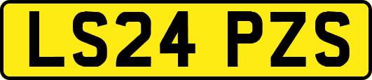 LS24PZS
