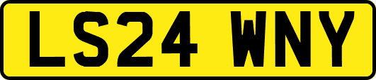 LS24WNY