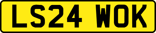 LS24WOK