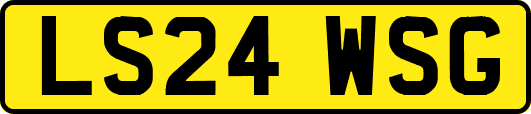 LS24WSG