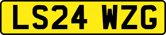 LS24WZG