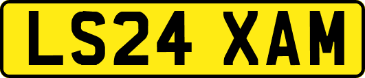 LS24XAM