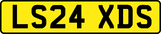 LS24XDS