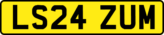 LS24ZUM