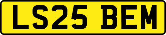 LS25BEM