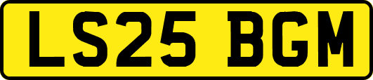 LS25BGM