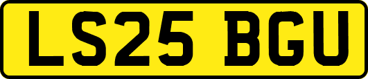 LS25BGU